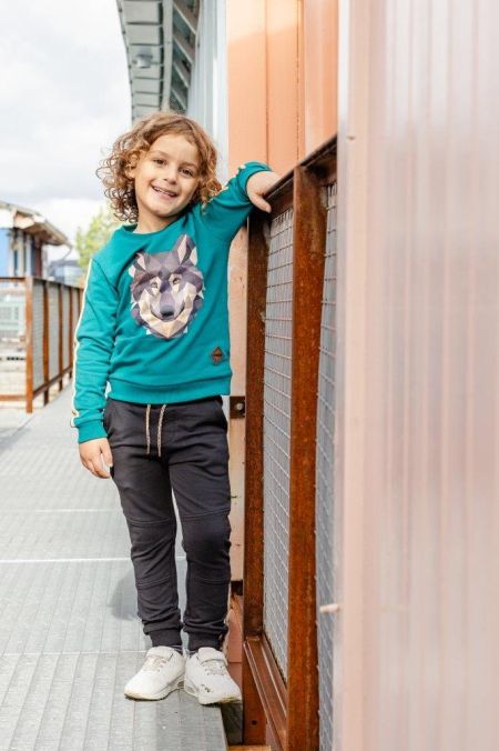 Louder! sweater Ravi lake green wolf