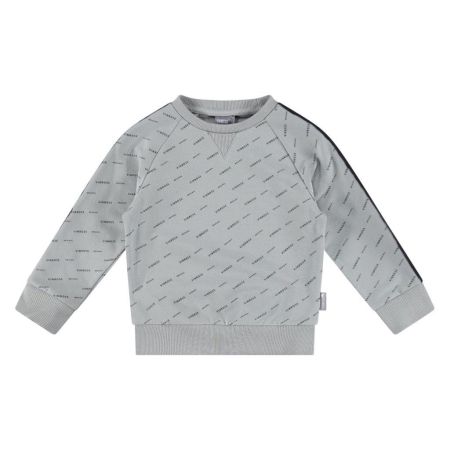 Vinrose sweater monument Vinrose aop (BW22SW031)