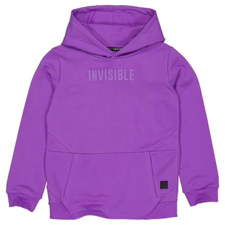 Levv hoodie Tim purple bright