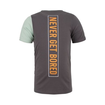Nais t-shirt Faber grey mint (A23-455)