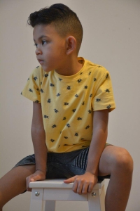 Louder! shirt Leo daffodil beetle aop