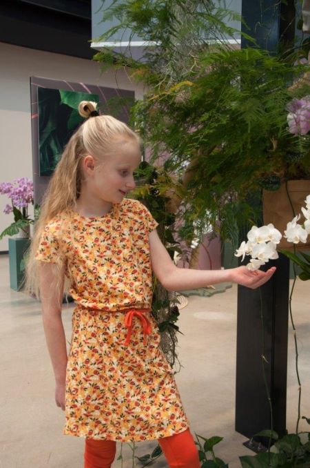 Louder! jurk Lucy daffodil ladybugs