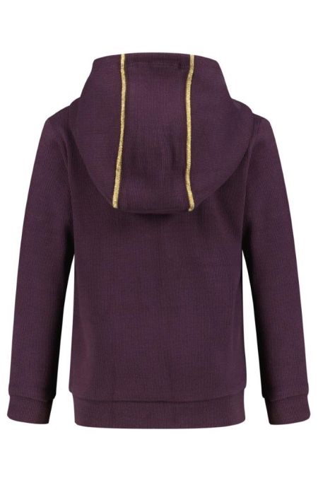 4President vest met capuchon Dirkje plum perfect