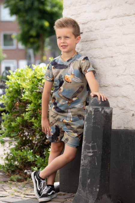 Legends22 shorts Odon multi blue (A23-332)