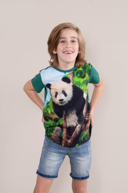 Legends22 t-shirt Gabe green panda (A23-379)