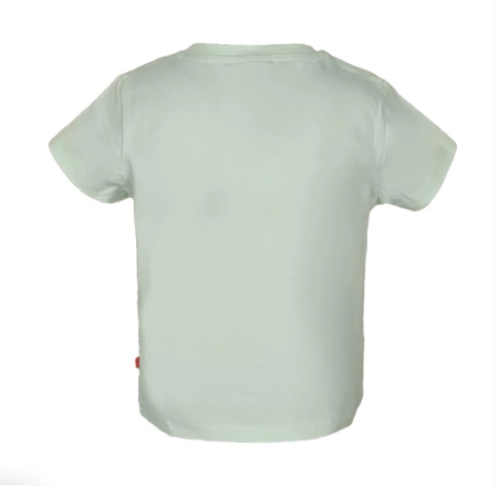 Someone shirt Mare light mint zebra