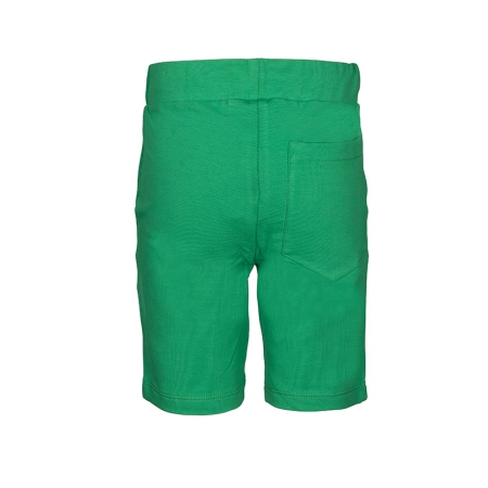 Dutch Dream Denim broek Sanafu green