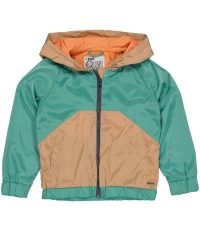 Quapi zomerjas Thino green oil