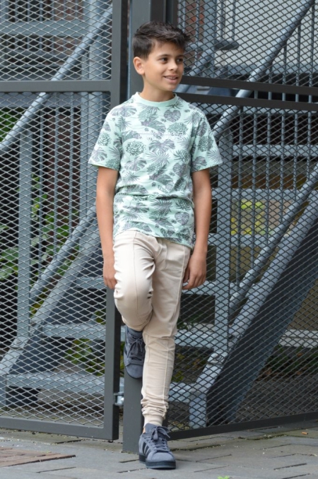 Vinrose shirt celadon aop (VBS24SS028)