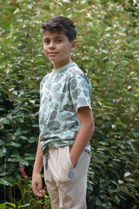 Vinrose shirt celadon aop (VBS24SS028)