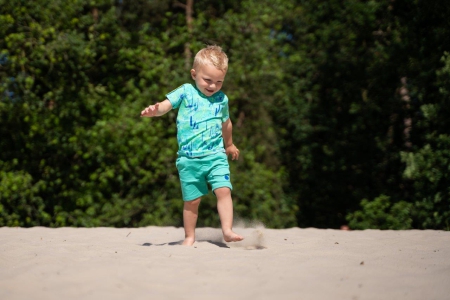 4President short Eros marine green