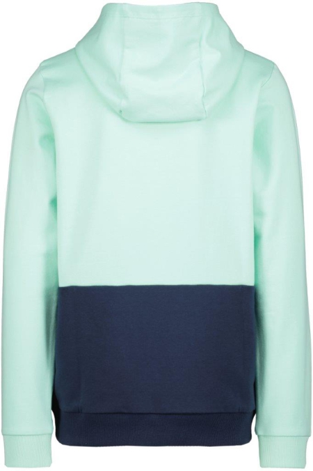 4President hoodie Keanu light green