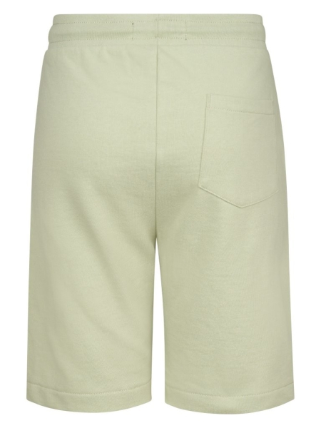 Petrol shorts jogging desert sage (B-1050-SHO100-6173)