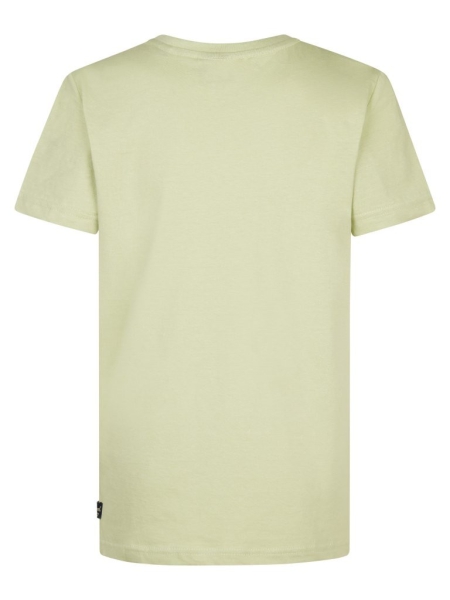 Petrol t-shirt classic print desert sage petrol ind u.s.a. (B-1050-TSR128-6173)