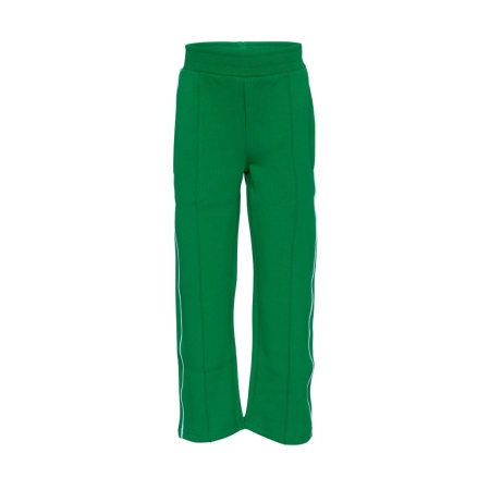 Dutch Dream Denim broek Chetu emerald green (FW23-54G)