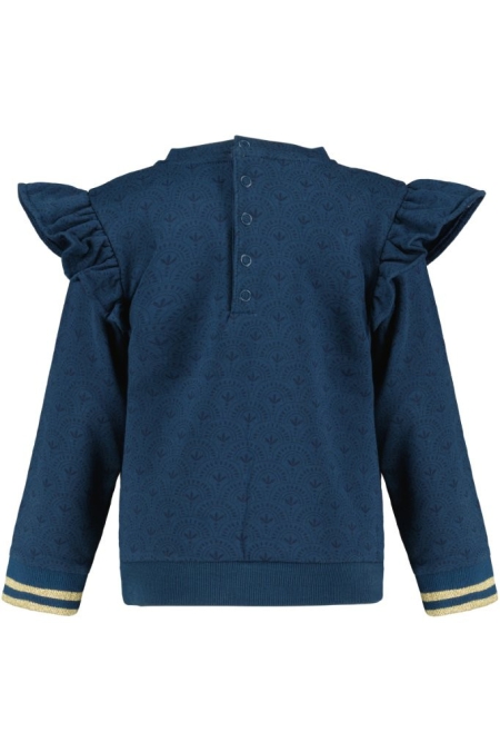 4President sweater Kiki blue wing teal aop