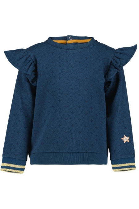 4President sweater Kiki blue wing teal aop