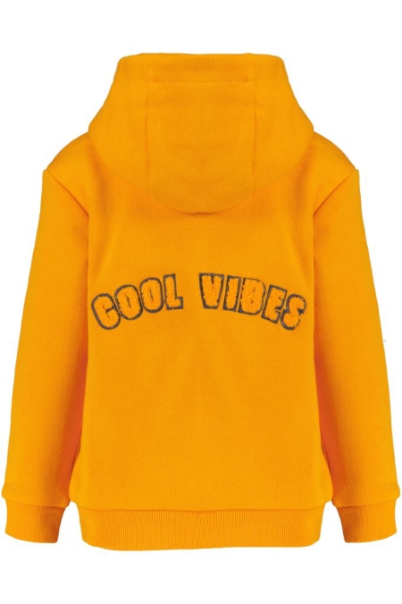 4President hoodie Riley apricot