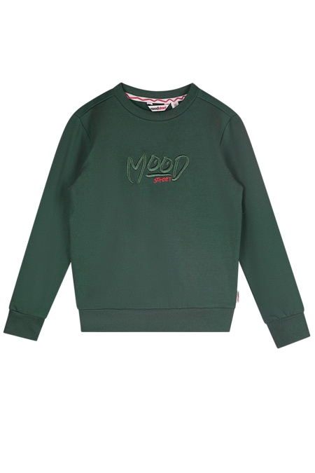 Moodstreet sweater Sev leaf (M408-6310-344)