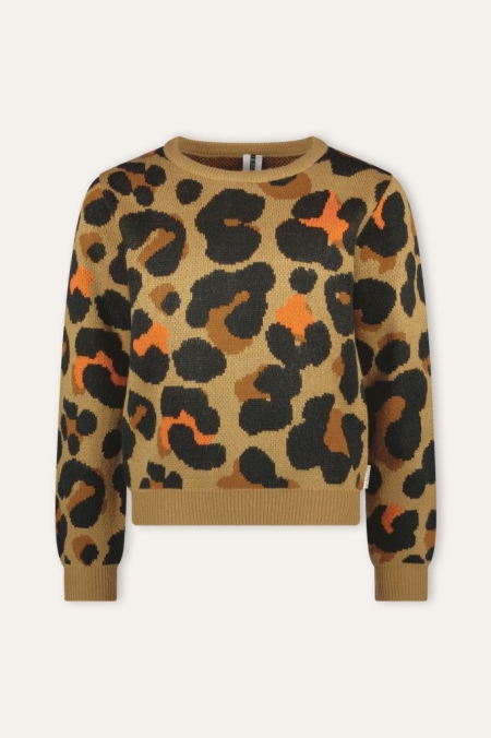 B.Nosy knitted sweater Kris leopard aop (Y408-5330-531)