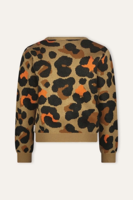 B.Nosy knitted sweater Kris leopard aop (Y408-5330-531)