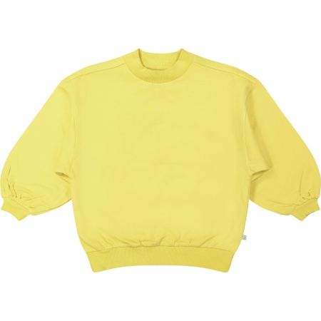 Livlig sweater Liam yellow (16-0104)