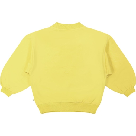Livlig sweater Liam yellow (16-0104)