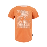 Legends22 t-shirt Bjarne amberglow (A24-607)