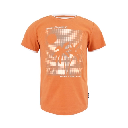 Legends22 t-shirt Bjarne amberglow (A24-607)