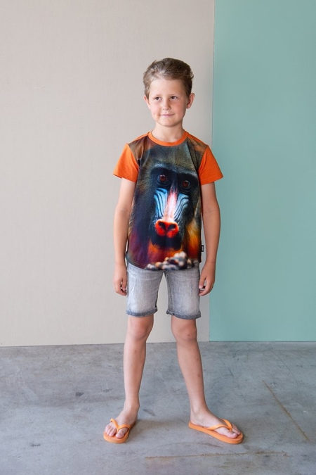 Legends22 t-shirt Berkan amberglow mandril (A24-614)