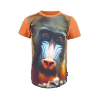 Legends22 t-shirt Berkan amberglow mandril (A24-614)