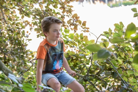 Legends22 t-shirt Berkan amberglow mandril (A24-614)