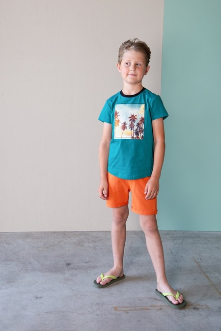 Legends22 t-shirt Bennet teal blue (A24-615)