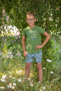 Legends22 t-shirt Bay turtle green (A24-633)