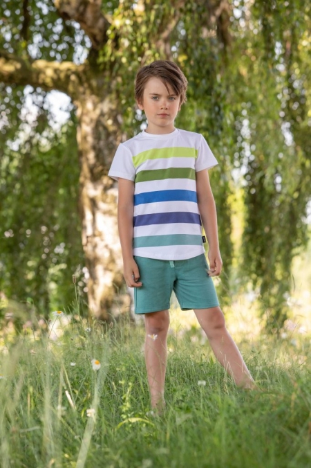 Legends22 t-shirt Bruno white gestreept (A24-637)