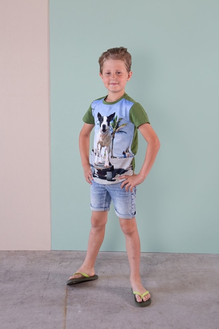 Legends22 t-shirt Boyd turtle green (A24-645)