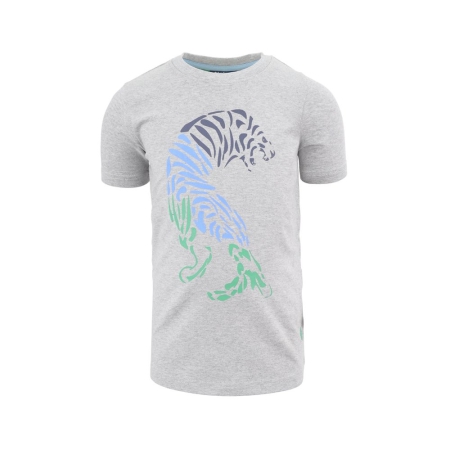 Nais t-shirt Dirk light grey melee (A24-750)