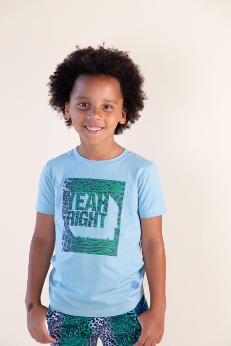 Nais t-shirt Dion sky blue (A24-751)