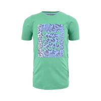 Nais t-shirt Dimitri Balrney green (A24-752)