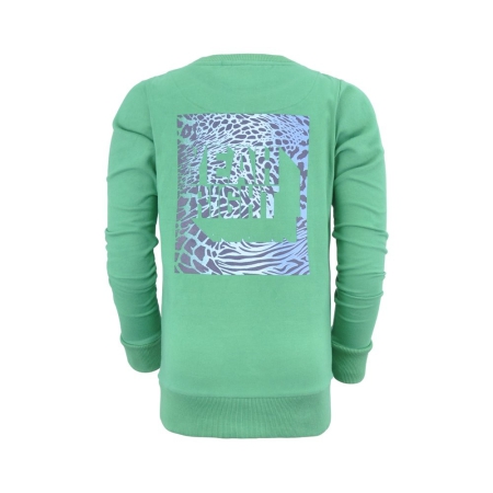 Nais sweater Diem blarney green (A24-758)