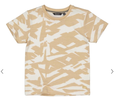 Quapi shirt Bani aop sand beach