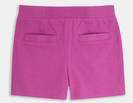 4President short Nancy willowherb