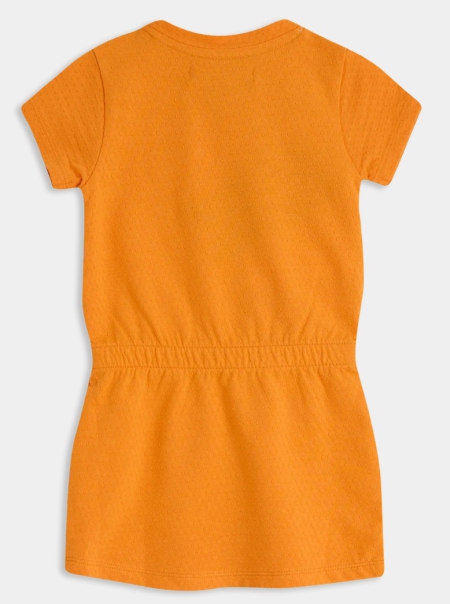 4President jurk Nara turmeric orange