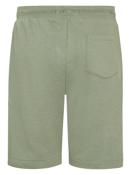 Petrol shorts jogging sage (B-1060-SHO119-6179)