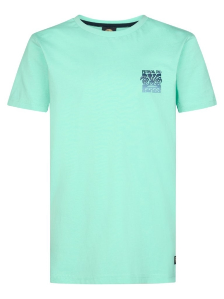 Petrol t-shirt classic print green aqua (B-1060-TSR117-6182)