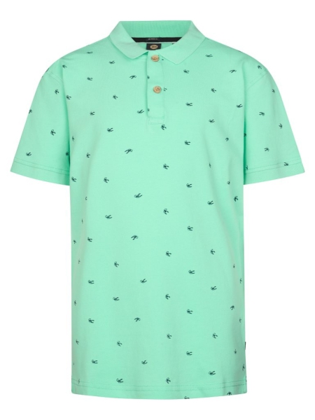 Petrol polo green aqua (B-2060-POL921-6182)