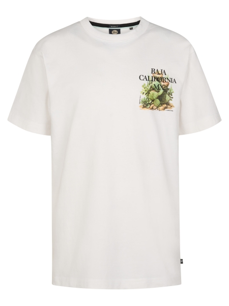 Petrol t-shirt classic print bright white (B-1060-TSR654-0000)