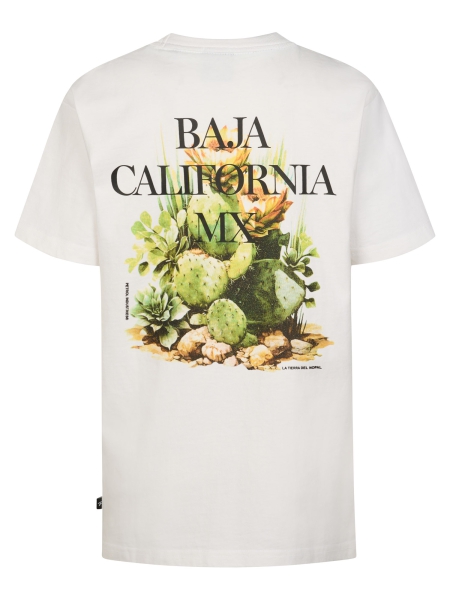 Petrol t-shirt classic print bright white (B-1060-TSR654-0000)