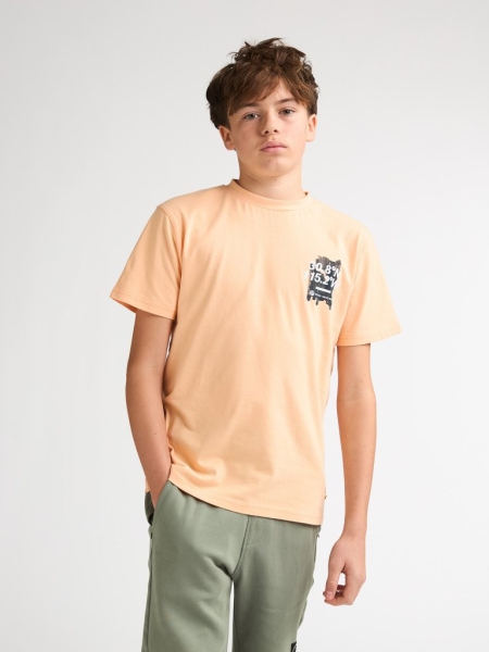 Petrol t-shirt classic print tropical orange (B-1060-TSR675-2125)