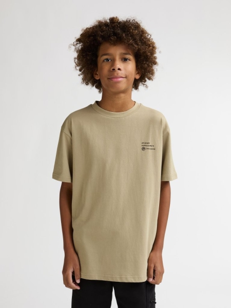 Petrol t-shirt classic print light tan (B-1060-TSR681-7130)
